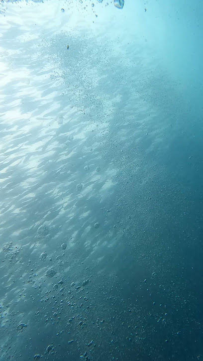 Dive Cabo Pulmo