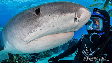 Jim Abernethy’s Scuba Adventures