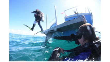 Venice Dive Center and Charter