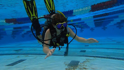 Scuba Steve's Dive & Travel