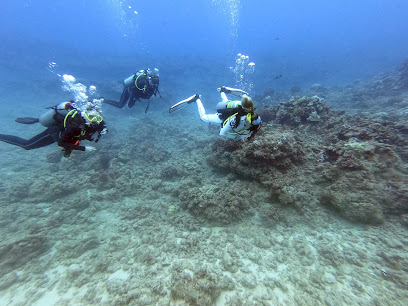 Pacific Diving Academy