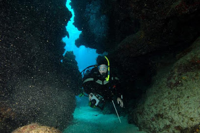 Do Dive In Scuba Center