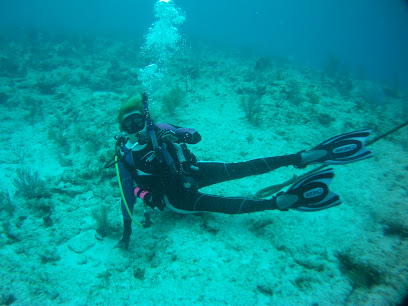 Sea Dog Adventures LLC