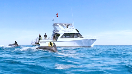 Narcosis Dive Company