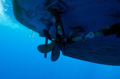 Dive Solutions and Services, LLC.