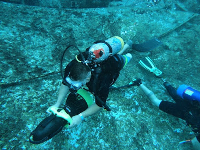 Freedom Divers International