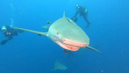 Emerald Charters