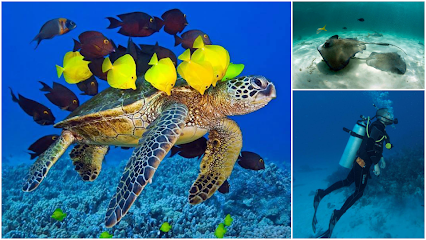 SCUBA Professional Education Dive School