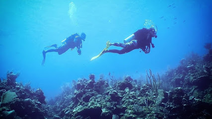 Project Scuba