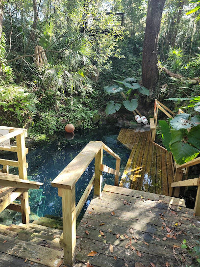 Paradise Springs