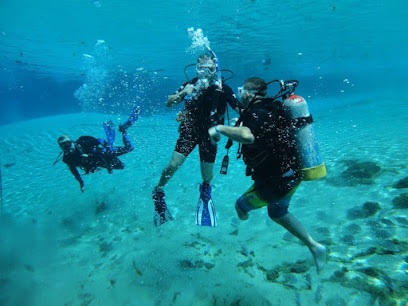 Clifton Diving Ventures