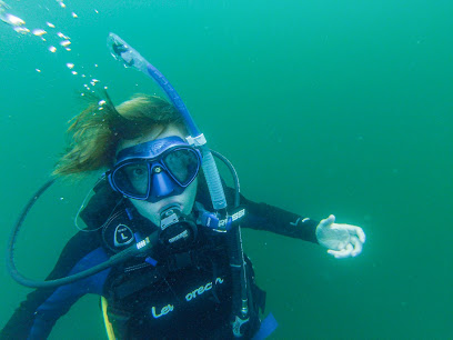 Inland Divers of High Point