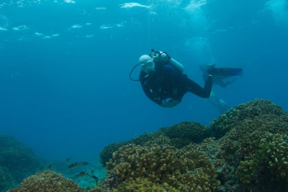 Scuba Club Tucson