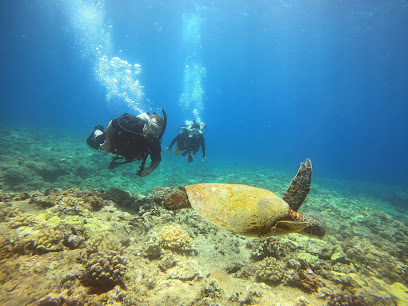 Snorkel & Dive Hawaii