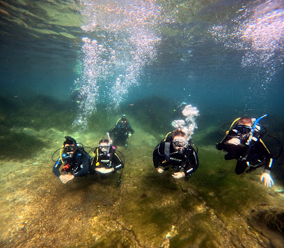 First Coast Divers