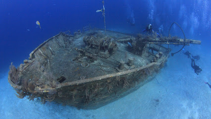 Fintastic Diving Adventures