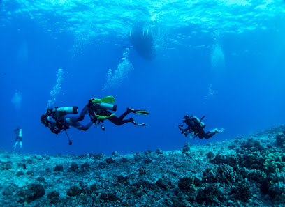 Ed Robinson's Diving Adventures