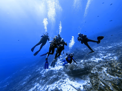 Island Style Diving