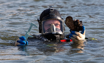 Minnesota Divers LLC