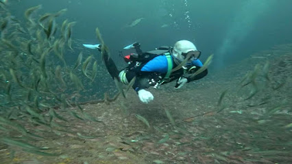 Big Blue Dive Boat