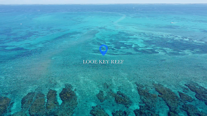 Looe Key SNUBA & water adventures!