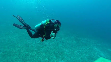 Two Tanks Scuba