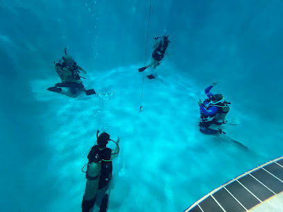 Scuba Savvy