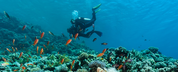 Bay Area Scuba Center