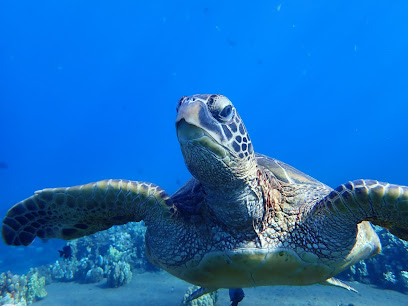 Airport Beach Scuba Diving and Snorkeling Location