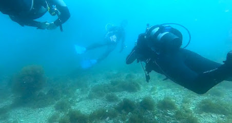 Scuba by Design