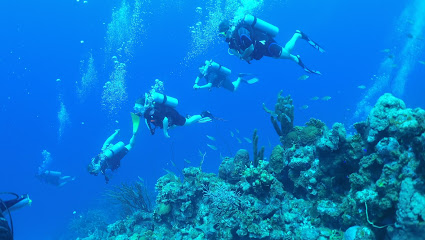 Dive & Glide ~ SCUBA, Snorkel & Travel (Midland)