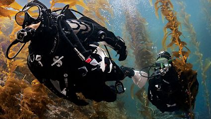 Cape Dive & Travel