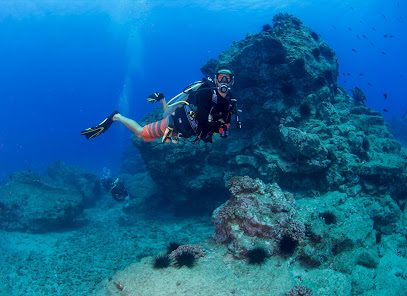Dive Kauai Scuba Center - Shop
