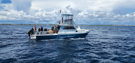 Splashdown Divers Boynton Beach
