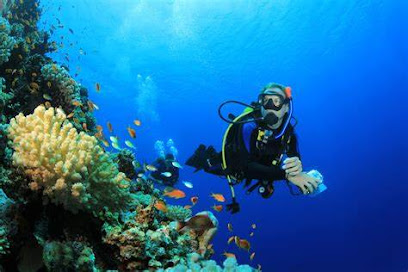 All American Scuba