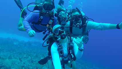 Experience The Sea LLC