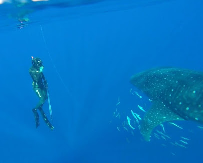 Reel Diversion Charters