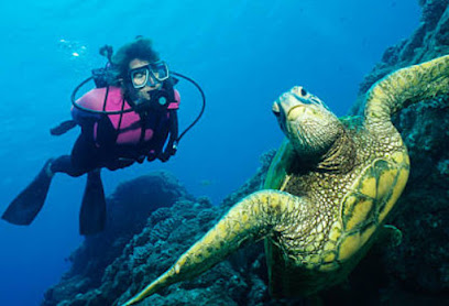 Lāhainā Divers
