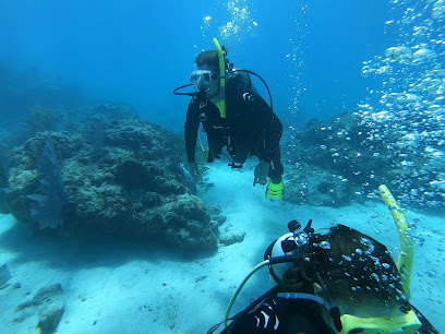 Scuba Swat