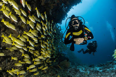 Maximum Scuba Phoenix