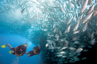 The Big Diver SCUBA Company, LLC