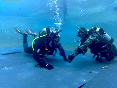 Diving Therapy