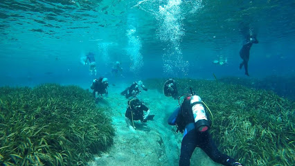 Silent Ocean Scuba