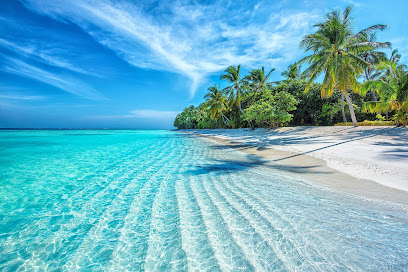 Coral Dreams Scuba Dive Travel & Training