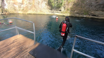 The Scuba Professor