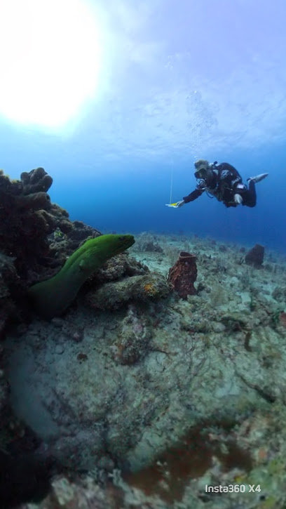 Hydrotherapy Dive Charters