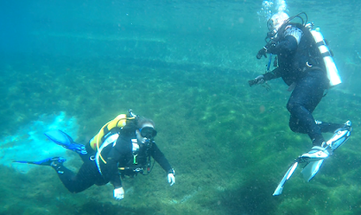 Scuba Divers Paradise