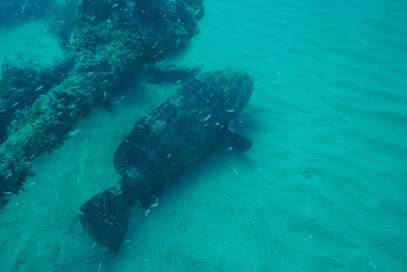 Salty Dog Diving