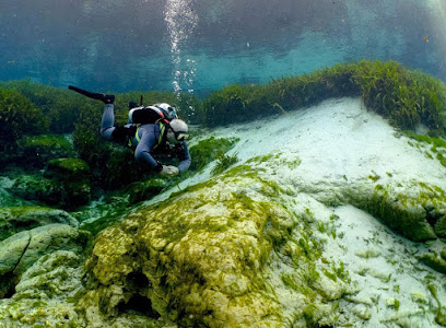 Neptune's Splendor Scuba LLC