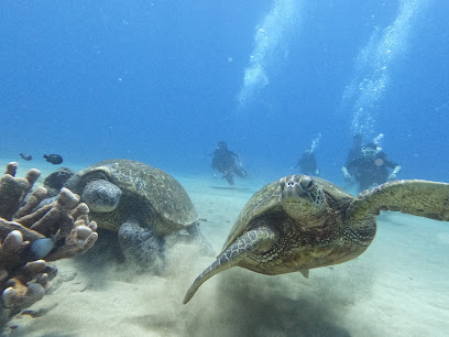 Black Rock Scuba